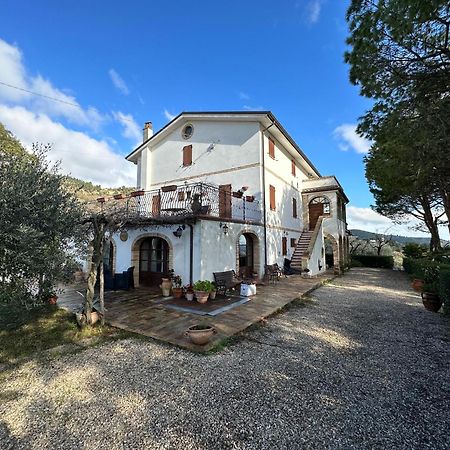 Casa Vacanze Cristina - Holiday House Daire Ripatransone Dış mekan fotoğraf