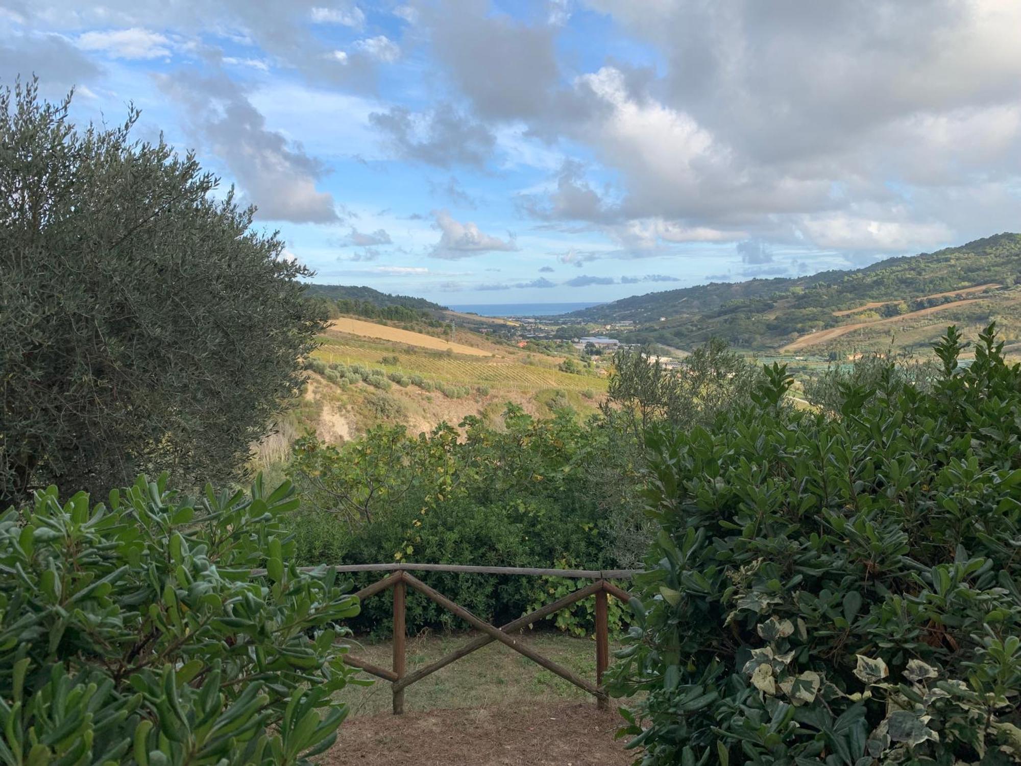 Casa Vacanze Cristina - Holiday House Daire Ripatransone Dış mekan fotoğraf