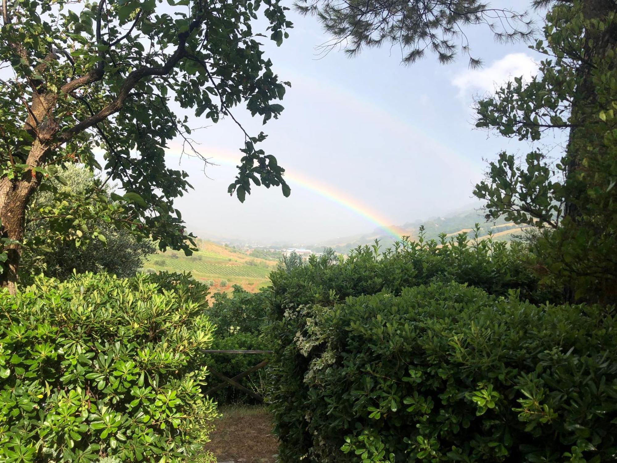 Casa Vacanze Cristina - Holiday House Daire Ripatransone Dış mekan fotoğraf