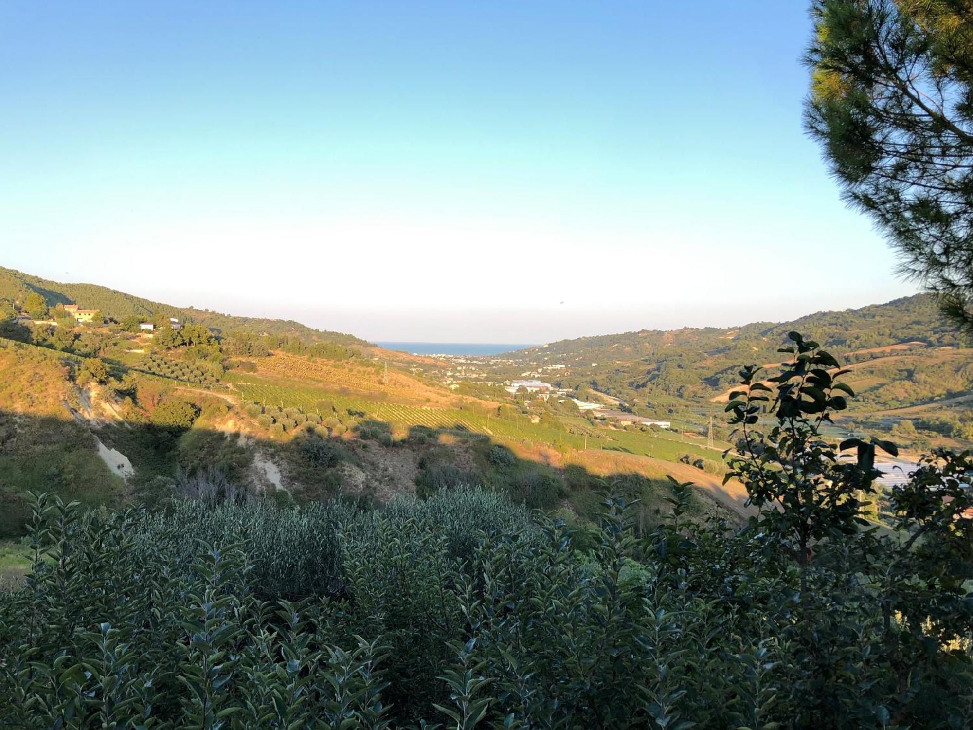 Casa Vacanze Cristina - Holiday House Daire Ripatransone Dış mekan fotoğraf